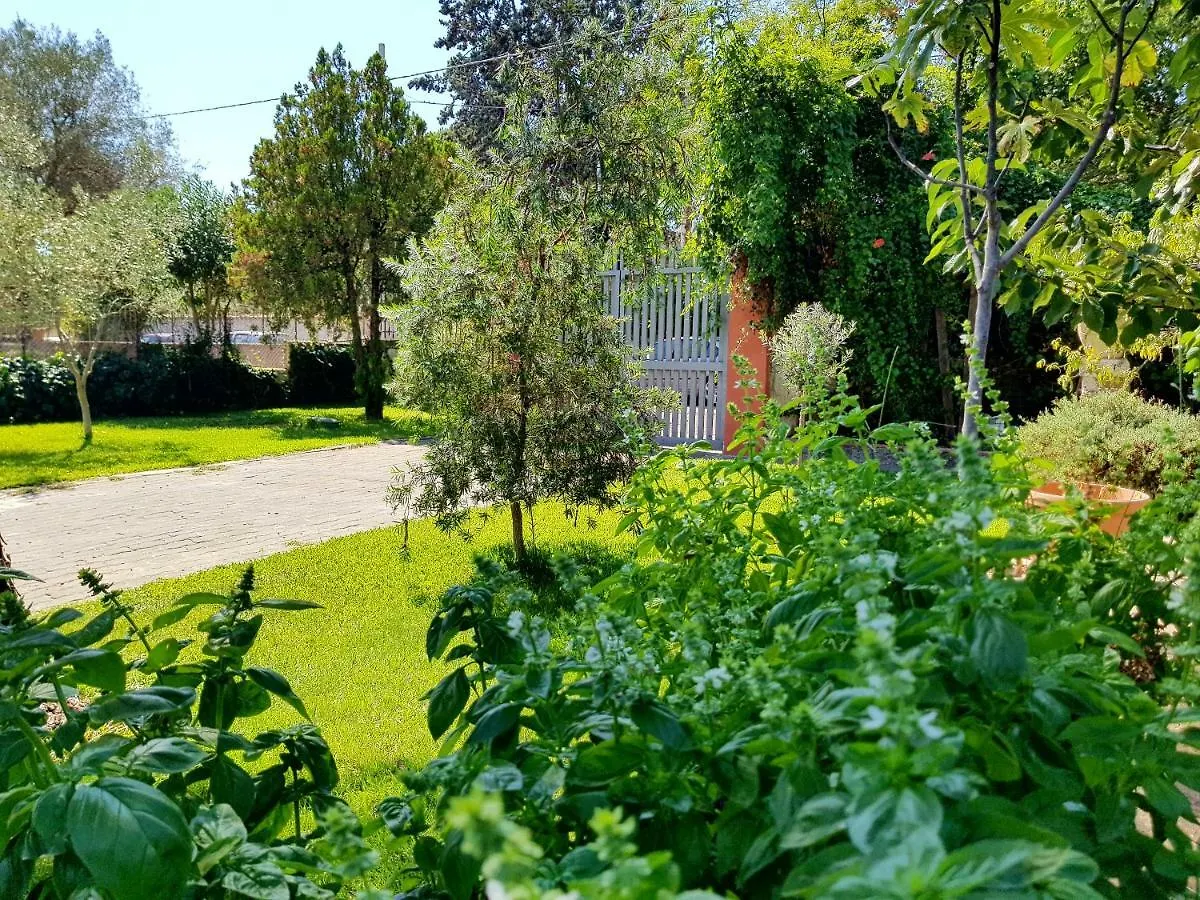 *** Bed & Breakfast B&B Welcome Pedara Italy